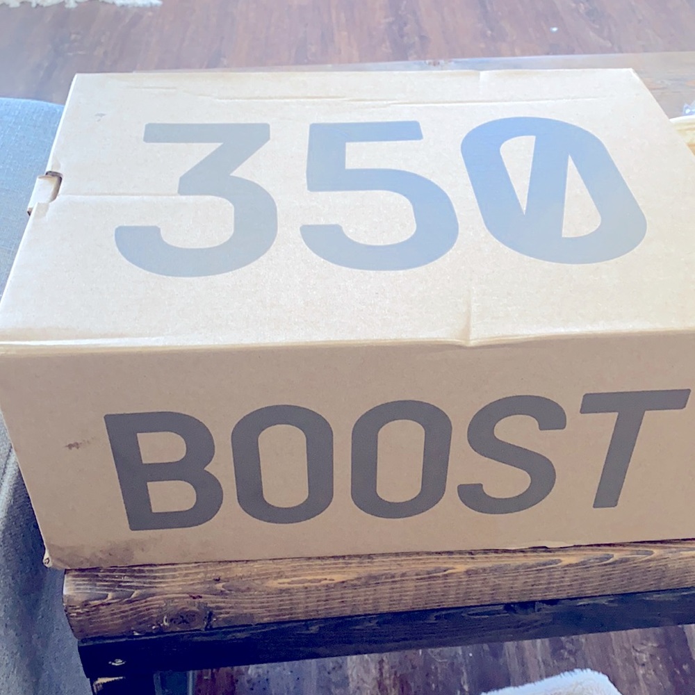 Yeezy boost 350 V2